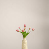 Tulpen licht-roze 2 cover v2