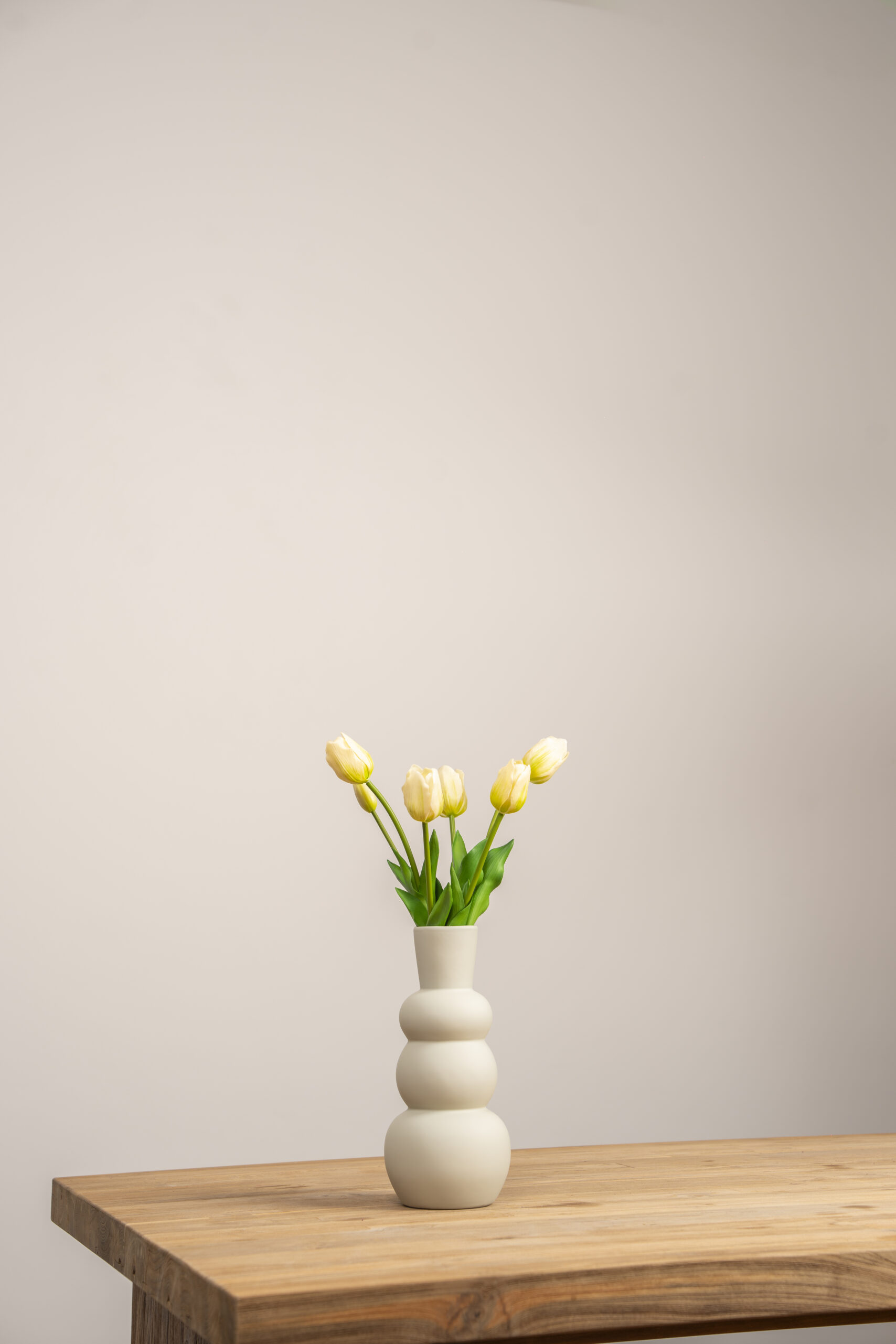 tulpen wit-groen cover v2