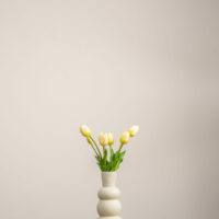 tulpen wit-groen cover v2